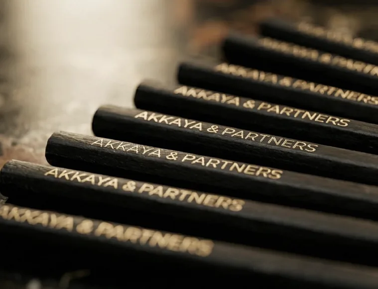 Establishing a Business in Türkiye